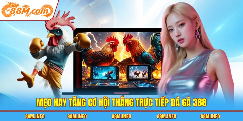 Mẹo hay tăng cơ hội thắng trực tiếp đá gà 388